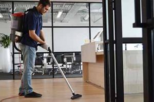 professional cleaning Service